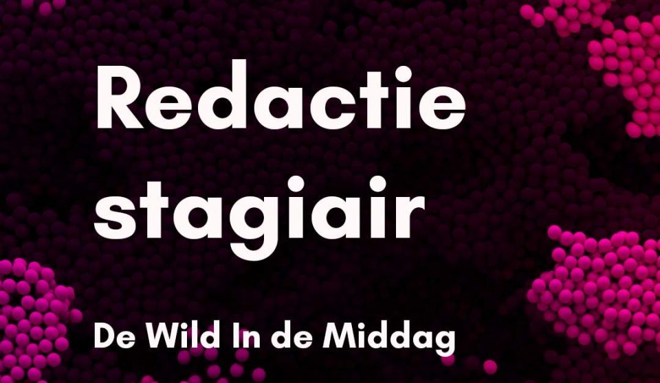 Redactie stagiair De Wild in De Middag